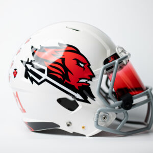 Football Helmet Decals