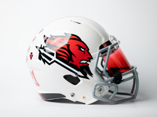 Football Helmet Decals